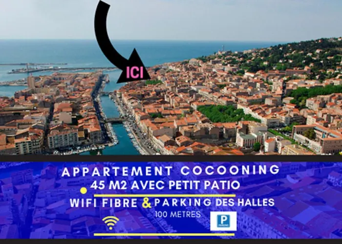 Splendide T2 Neuf Coocoonig Avec Patio